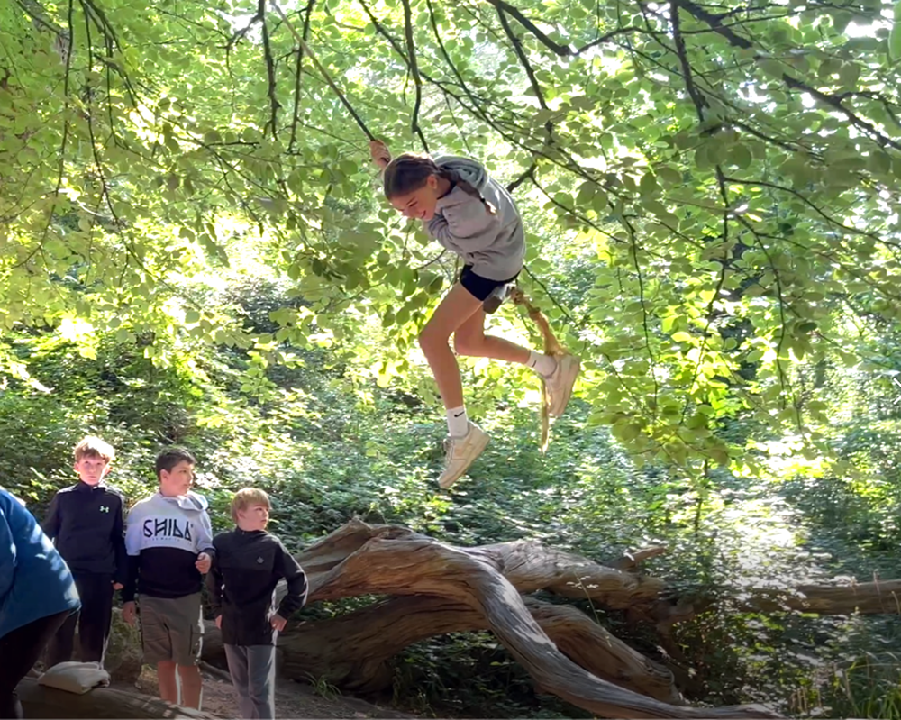 Woods 4