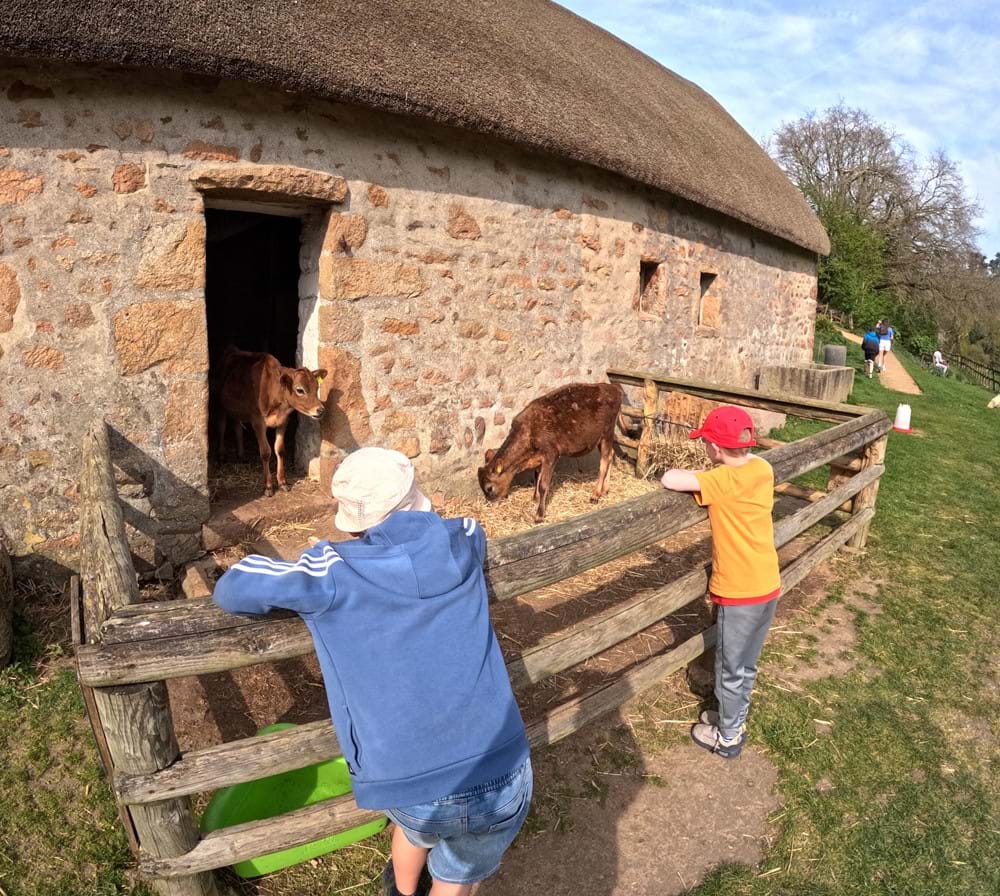Ehamptonne Farm 2