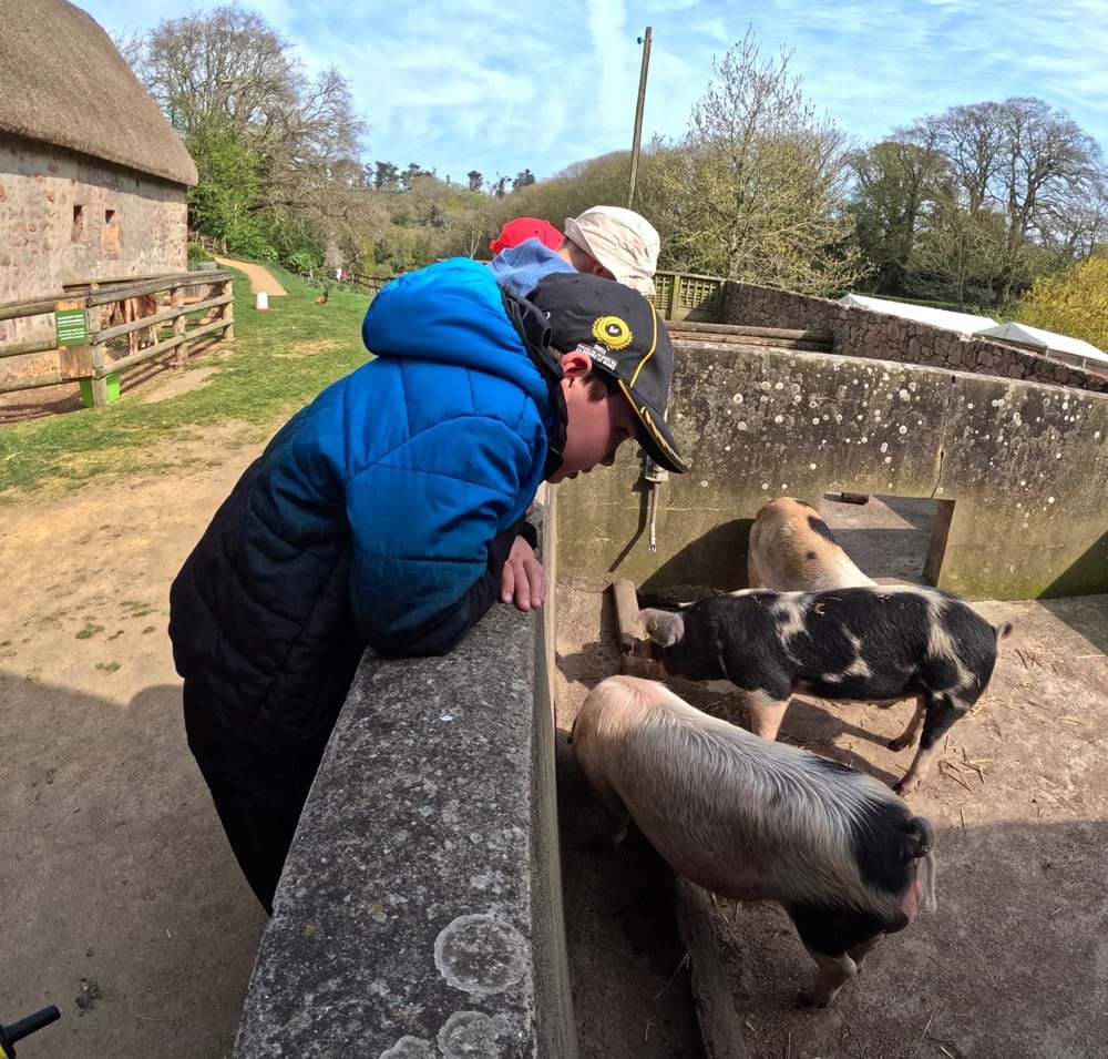 Ehamptonne Farm 4